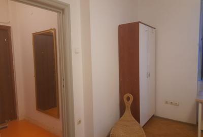 DOROBANTI ,IANCU DE HUNEDOARA GARSONIERA  PET FRIENDLY INCHIRIERE - 16