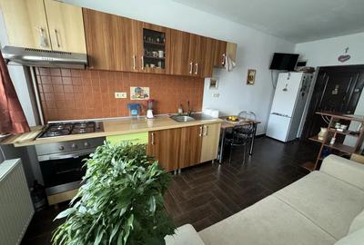 Apartament 2 camere Turnisor - 2