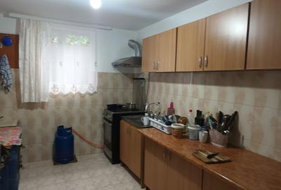 Casa cu 1ha teren la Baisa - 3