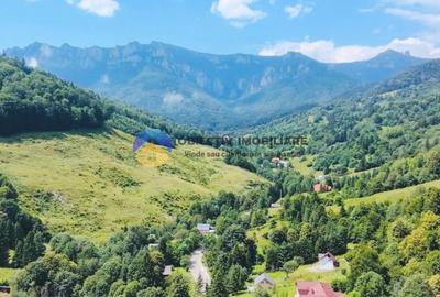 Teren intravilan de 17864 mp, în Izvoru Muntelui