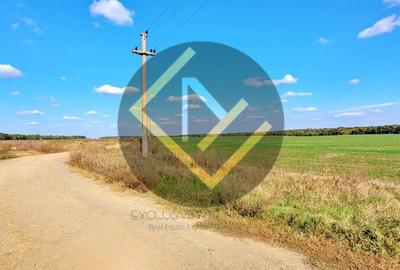 Teren 9Ha -> 16Ha Ha Intravilan , Exit A3 Snagov Ghermanesti Bucuresti-Ploiesti - 8