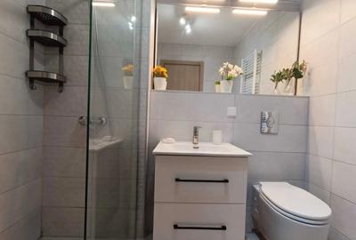 Închiriere apartament 2 camere Roka Residence/ Nerva Traian - 8