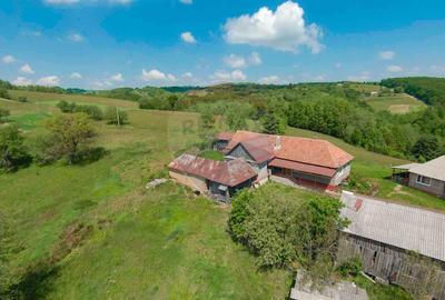 De vânzare casă cu teren și pădure 55706 mp - Șinteu, Valea Târnei - 13