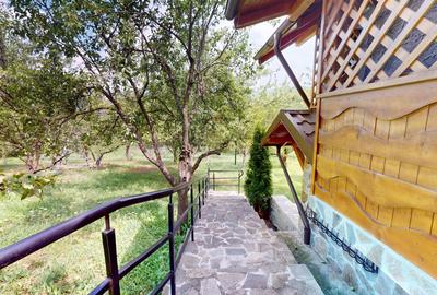 Proprietate unică în Piatra Doamnei – Corbi, Argeș - 6
