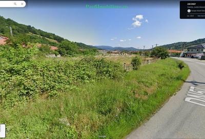 Teren 7.000mp intravilan construibil, front 160ml DN57- Eselnita, la Dunare - 11