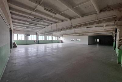 Spatiu industrial, 750 mp utili, situat in zona Corneliu Coposu! - 1