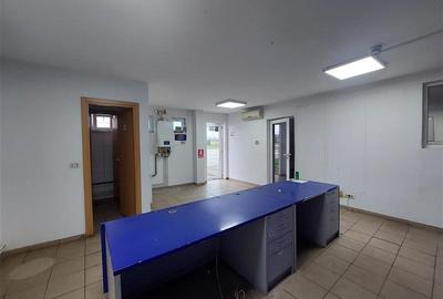3 hale de inchiriat in Micalaca - 9