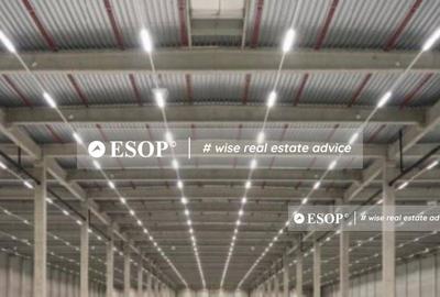 WDP Industrial Park Codlea, hale industriale, 0%comision, 2300-32870mp - 4