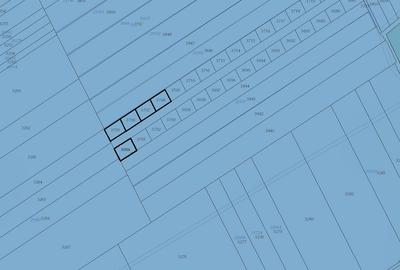 Vanzare teren Frumusani-Padurea Vladiceasca - 1