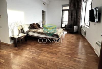 Baneasa-Iancu Nicolae, penthouse de inchiriat, mobilat si utilat - 7