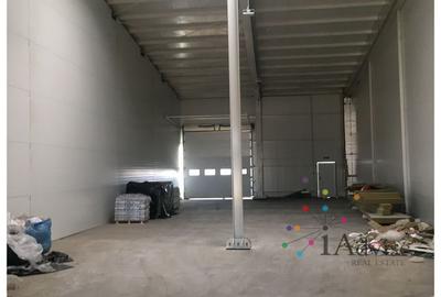 DEPOZIT NOU AVIZAT ISU - STUPINI - 1