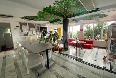 Casă individuală cu 10 camere în Grigorescu