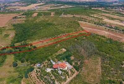 RECO Teren Saldobagiu de munte - 2