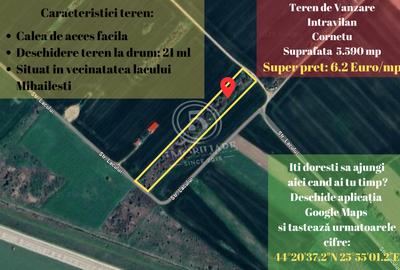 Teren agricol intravilan de 5590 mp, în Cornetu