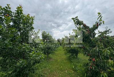 CASA DE VANZARE | INCHIRIERE | DUMBRAVENI | SUCEAVA - 28