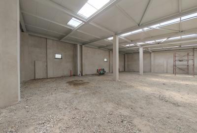 Proprietate deosebita open space 560 mp ICIL - 10