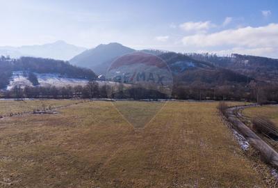 Teren de vanzare  Intravilan 19.341 mp – Cheile Râșnoavei, Parcelabil - 10
