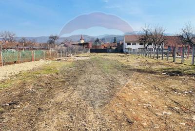 Teren Cristian-Brasov / Strada Barsei cu proiect de casa - 1