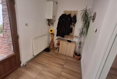 Casa formata din 2 apartamente pivnita zona Turnisor - 11