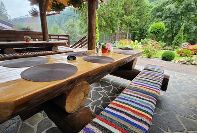 Penisune in Bucovina! Sucevita! De Vanzare! 0727817187 - 5