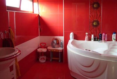 Drumul Taberei - Prelungirea  Ghencea - Ghidigeni - 13