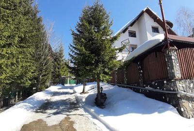 Casa de vacanta sau pensiune situata langa Cabana Trei Brazi Predeal - 39