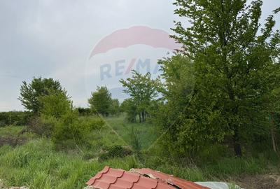 Teren Pentru Casa In Comuna Ciolpani - 0% Comision Cumparator - 4