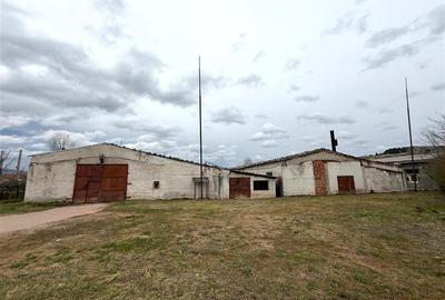 HALE INDUSTRIALE | CLADIRE BIROURI | TEREN 7000 MP | GHEGHIE BIHOR - 10