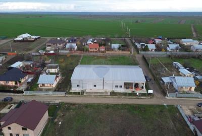 Teren agricol 13,1 ha + Hală 700 mp + Utilaje Agricole - Piscu, Galati - 1