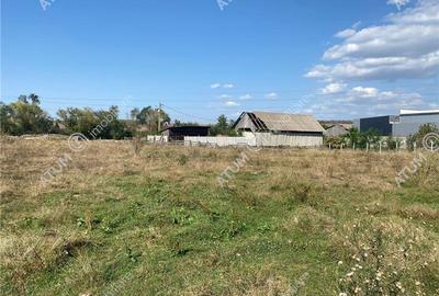 Teren intravilan la strada asfaltat cu utilitati in Cristian Sibiu