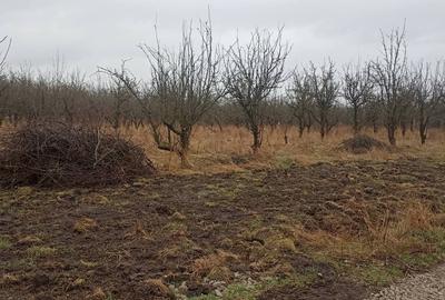 De vânzare terenuri intravilane - 3