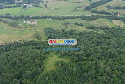 Vindem teren 20000 mp Cheile Rasnoavei - Brasov , pentru case vacanta - 5