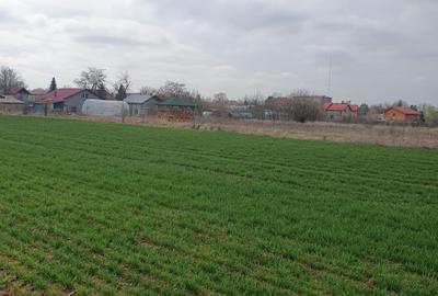 Tâncăbești -Ilfov suprafață 4500 mp - 4