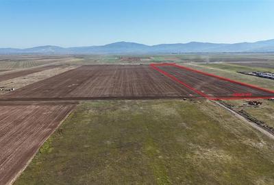 Teren agricol extravilan de 92700 mp, în Tărlungeni