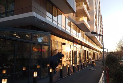 5 camere de tip duplex, Roka Residence- Nerva Traian - 3