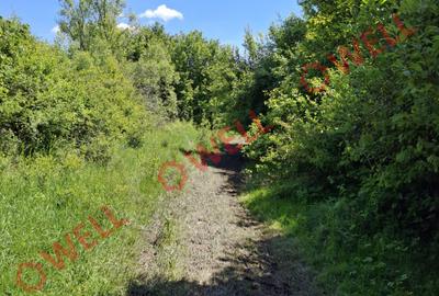 De vânzare teren intravilan de 30 000 m² (3 ha) în Reghin - 2