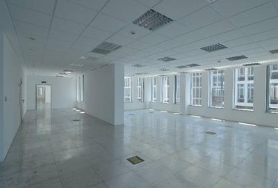 Swan Office Park cladirea Henley, Nord, 245 - 484 mp  0% comision! - 9