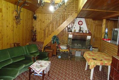 Pensiune turistică de vânzare în Lepșa – o oportunitate unică de afacere - 14