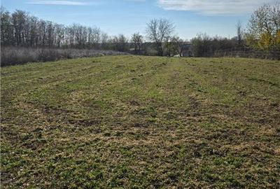 Teren Construcții intravilan de 3751 mp, în Daia