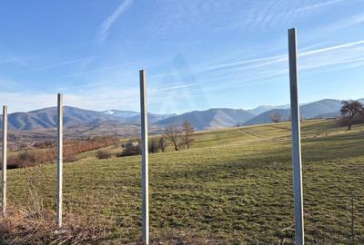Teren 809 mp intravilan în Tropinii Noi zonă în plină dezvoltare - 4