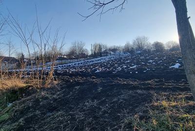 Loc de casa in Manastirea Doamnei - 4