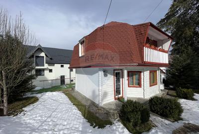 Casa de vacanta Predeal, langa padure, istoric airbnb - 12