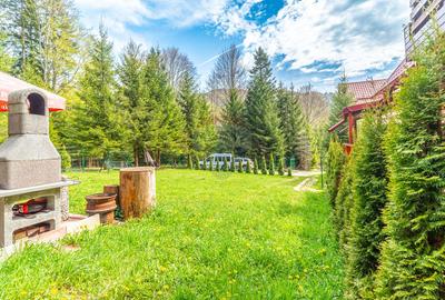 Vila cocheta în Azuga, lângă pădure, cu priveliște superbă la munți - 21
