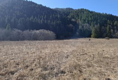Teren Intravilan | Schitu Tarcău | 2089MP | Izvor | Platou - 3