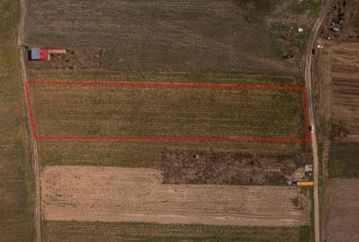 Adunatii Copaceni - Troitei | teren 6 525 mp | zona in dezvoltare - 10