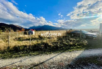 Teren de Vânzare | 1400 mp | Intravilan | Râșnov - 9