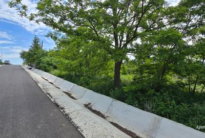 Terenuri de vanzare la Oraseni - 3