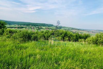 Teren mixt de vanzare in Hidiselu de Jos, Bihor - 2