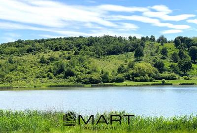 Teren extravilan 3200mp lac Sacel - 1