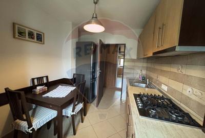 Apartament cu 3 camere de închiriat în zona Natiunile Unite - 6